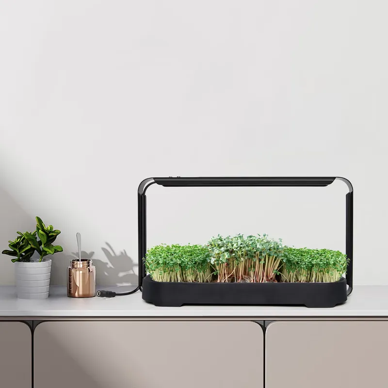 Indoor Garden Kit - 마이크로그린 자동 급수 수경재배 시스템(재배등 포함)