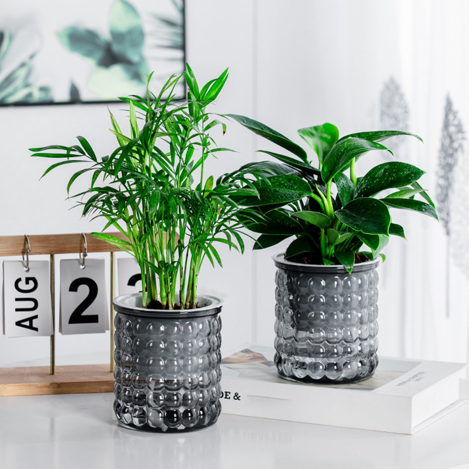 Hydroponic Grow Pod - 새로운 자체 급수 수경 식물 냄비