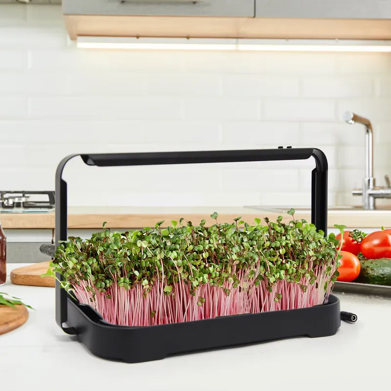 Smart Garden System - 수경재배 트레이 실내 마이크로그린 씨앗 새싹