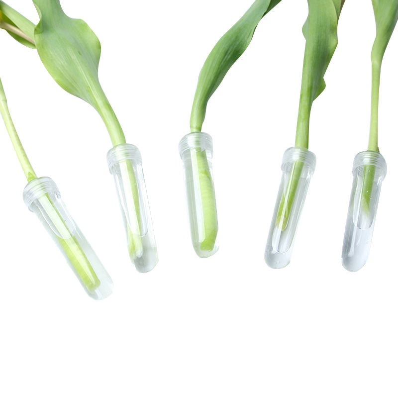 캡이 있는 플라스틱 신선한 꽃 영양 튜브, 물 저장 튜 - Hydroponic Grow Pod 리뷰 및 가격