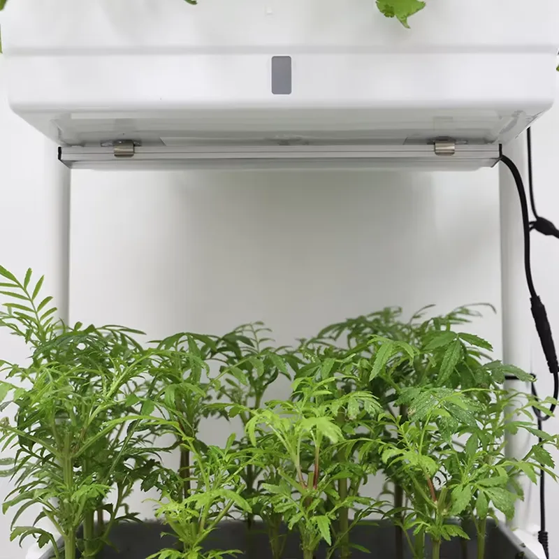 이동식 수직형 3단 자동 급수 스마트 정원 화분 스탠드 - Smart Garden System 리뷰 및 가격