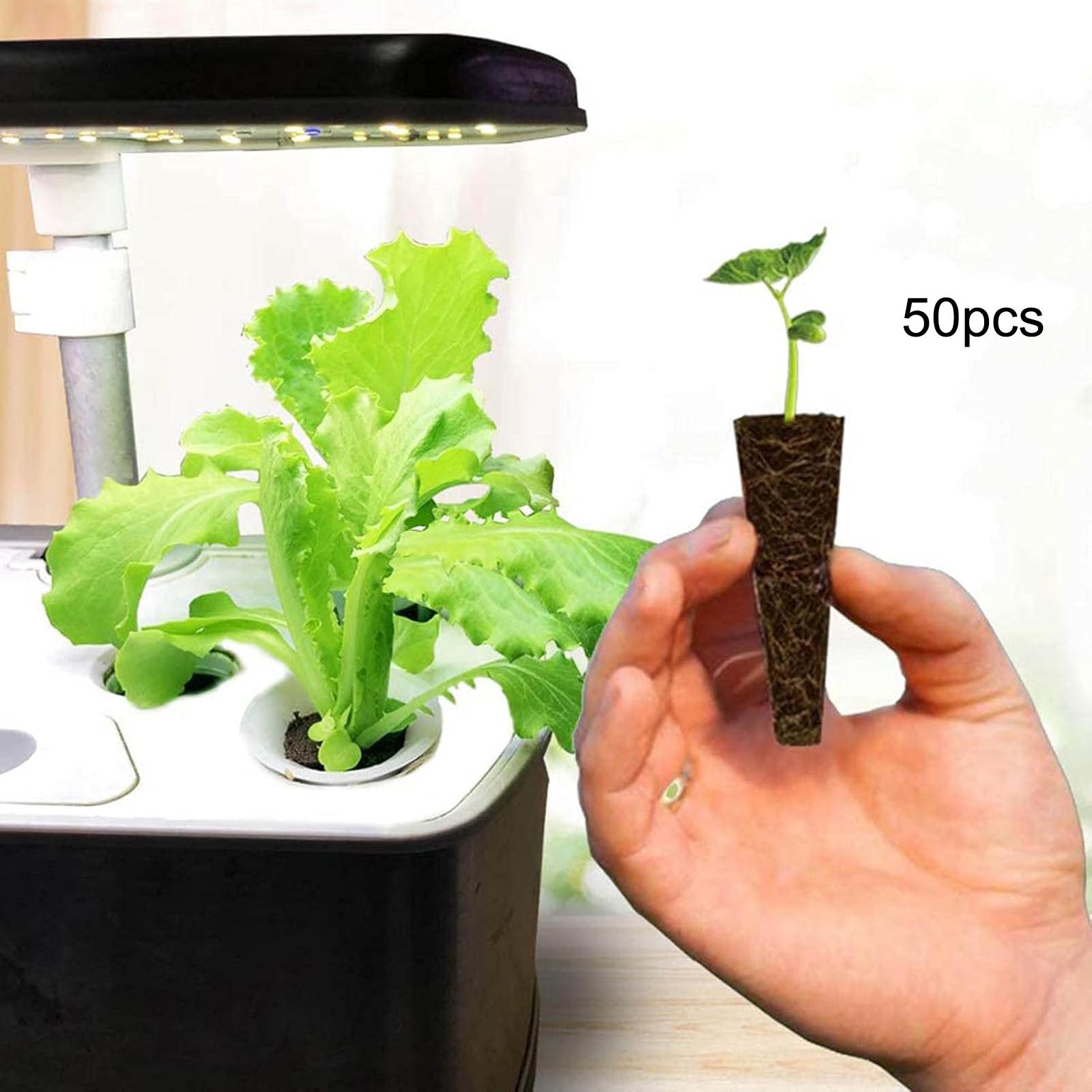 50개입 성장 스펀지 뿌리 성장 스펀지 토양 수경재배용 - Hydroponic Grow Pod 리뷰 및 가격