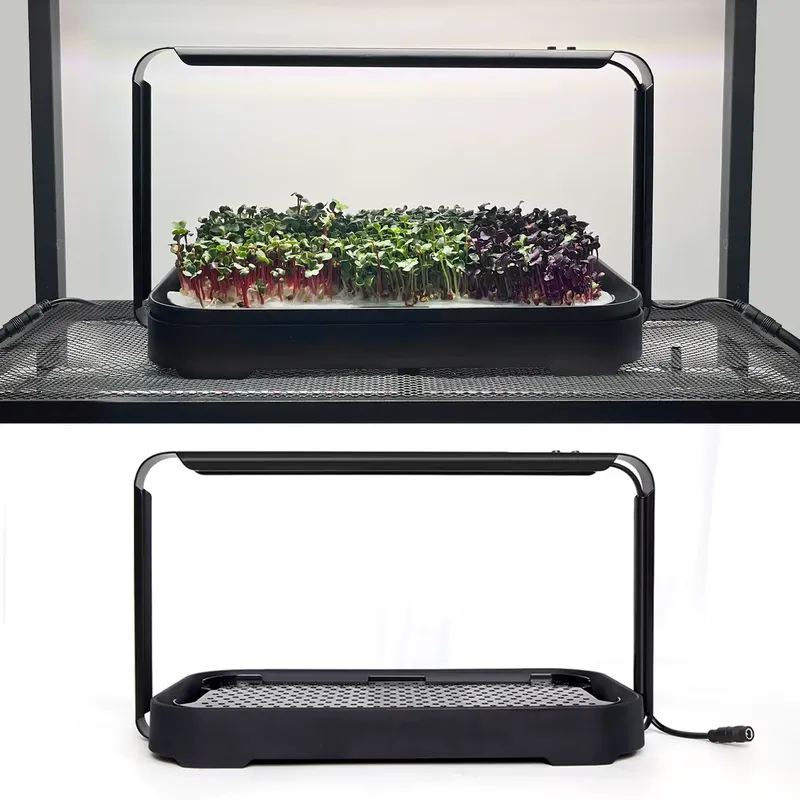 마이크로그린 자동 급수 수경재배 시스템(재배등 포함)  - Indoor Garden Kit 리뷰 및 가격