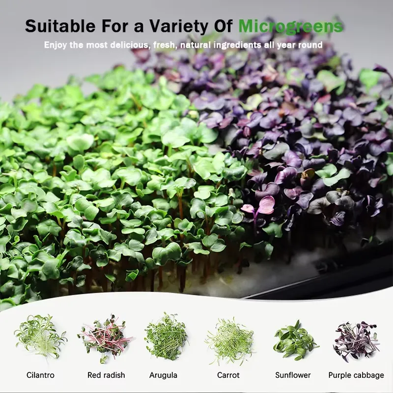 마이크로그린 자동 급수 수경재배 시스템(재배등 포함)  - Indoor Garden Kit 리뷰 및 가격