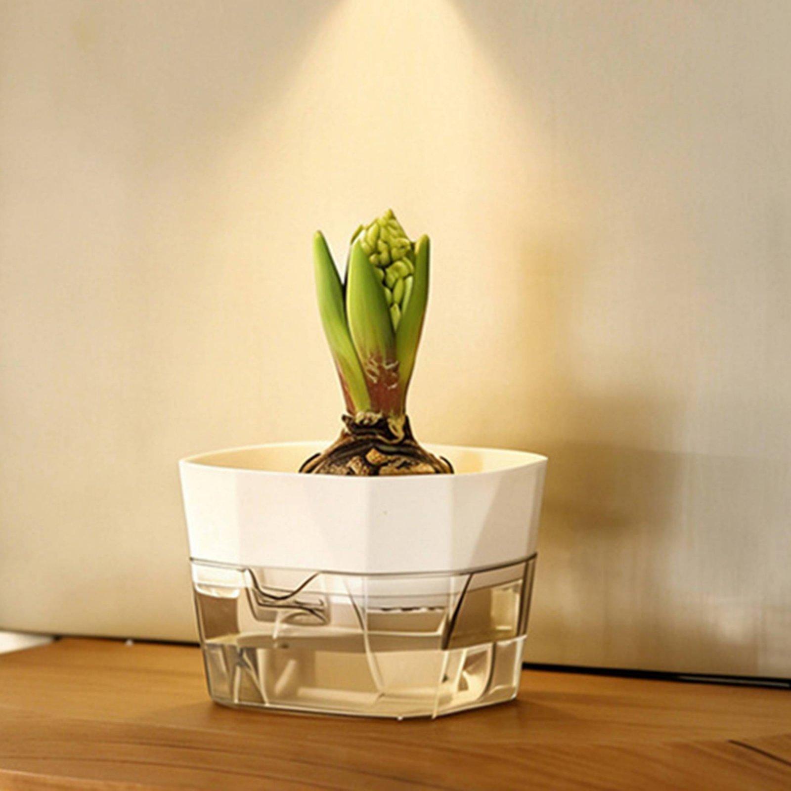 수경재배 화병 2단 자동 급수 화분 투명 PET 재질  - Self Watering Planter 리뷰 및 가격