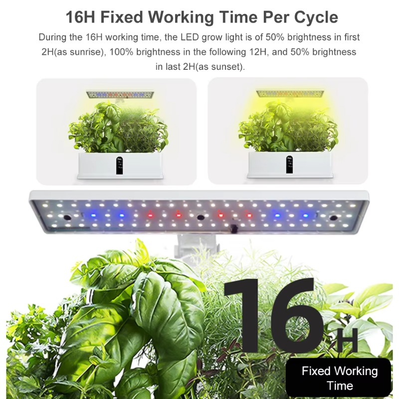9포드 스마트 수경재배 시스템 실내 정원 키트 자동 타 - Smart Garden System 리뷰 및 가격