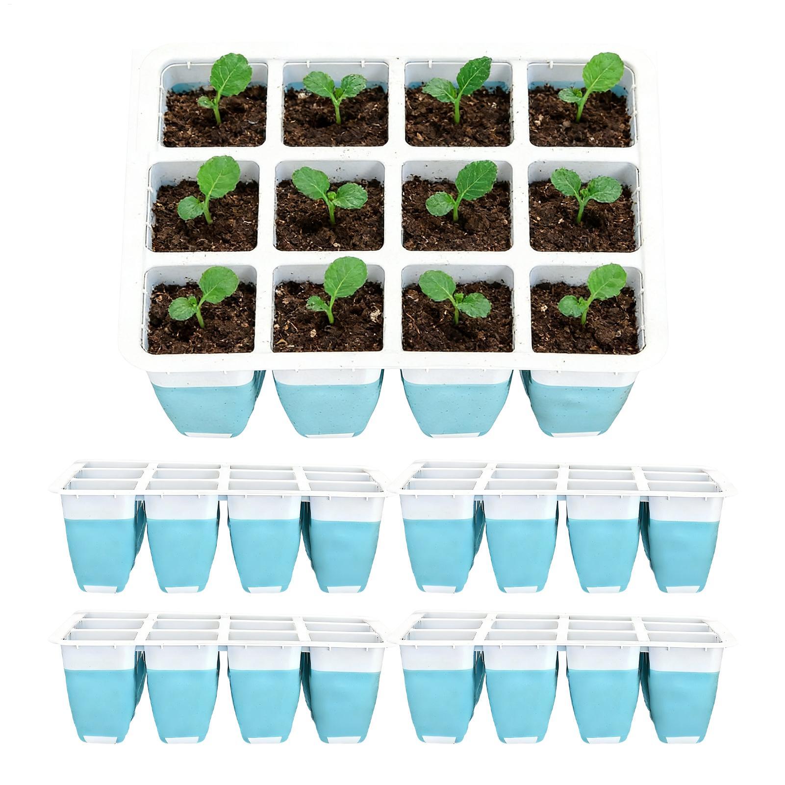 5팩 실리콘 묘목 트레이 60구 재사용 가능 묘목 발아 - Indoor Garden Kit 리뷰 및 가격