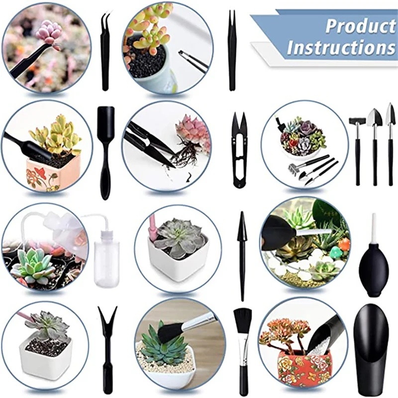 5개 세트 정원용 화분 세트, 다육 식물 재배 도구,  - Indoor Garden Kit 리뷰 및 가격