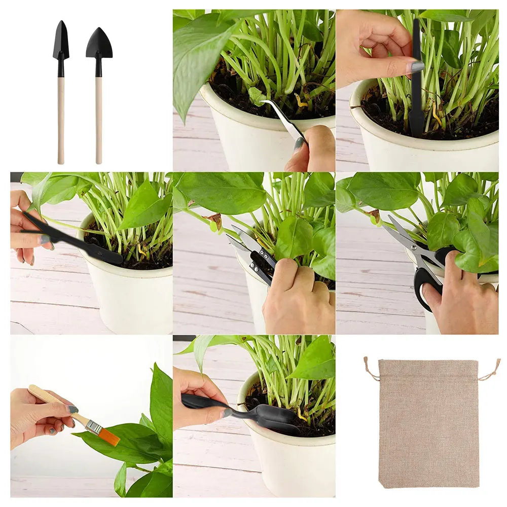 다육 식물 도구 세트, 실내 식물 가정 정원 키트, 검 - Indoor Garden Kit 리뷰 및 가격