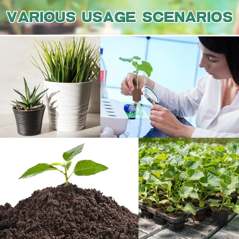 수경 실내 정원 시스템용 묘목 스타터 스펀지 키트, 성 - Indoor Garden Kit 리뷰 및 가격