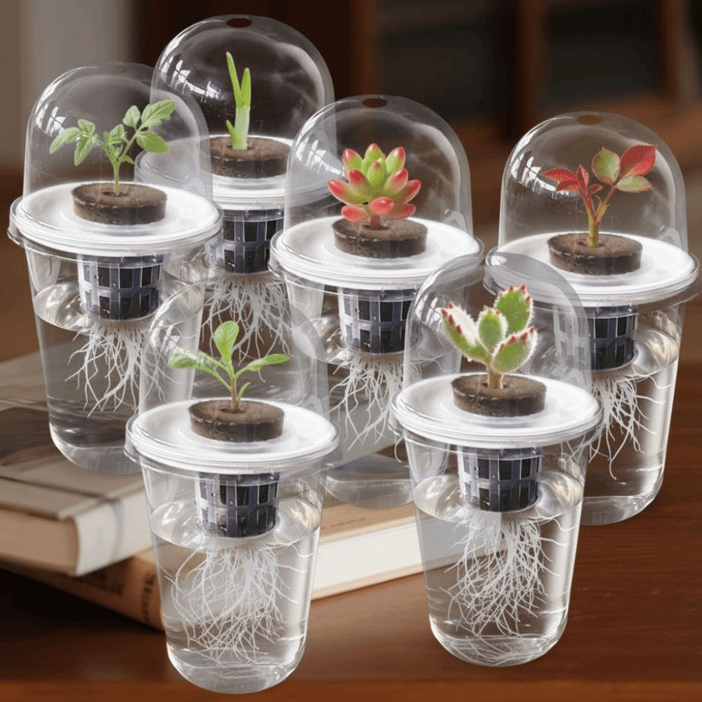 1-5개 투명 식물 발아컵 수경 재배 씨앗 화분 재사용 - Hydroponic Grow Pod 리뷰 및 가격