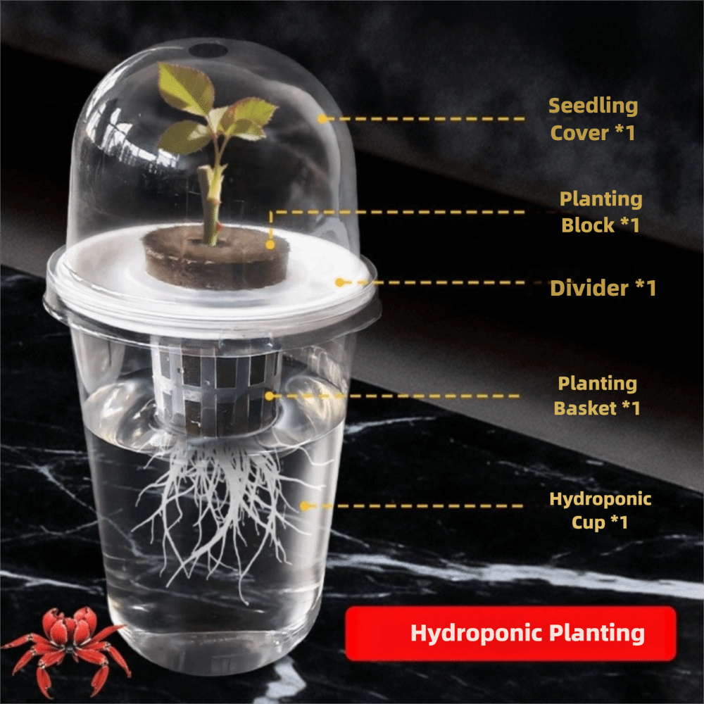 1-5개 투명 식물 발아컵 수경 재배 씨앗 화분 재사용 - Hydroponic Grow Pod 리뷰 및 가격