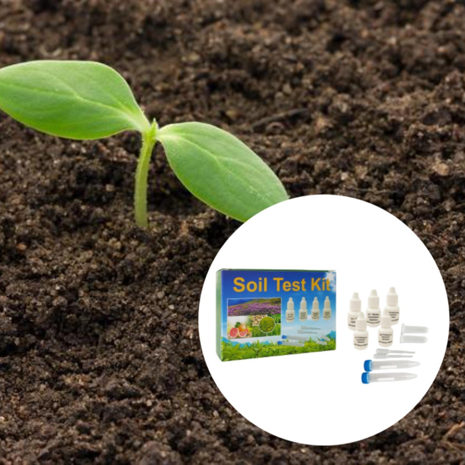 사용하기 간편한 토양 검사 키트, 몇 초 만에 결과 확 - Indoor Garden Kit 리뷰 및 가격