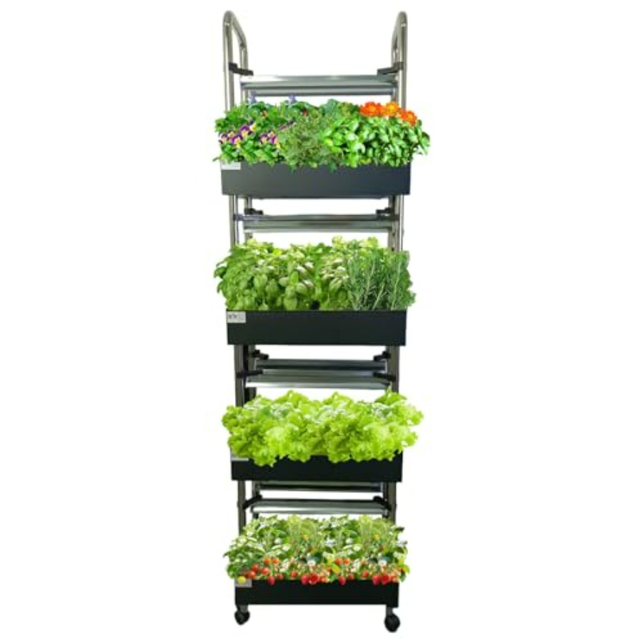 실내 수경재배 시스템: 스마트 풀스펙트럼 조명, 자동  - Smart Garden System 리뷰 및 가격