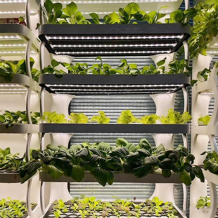 스마트 실내 정원용 화분 - LED 재배등이 장착된 스 - Smart Garden System 리뷰 및 가격